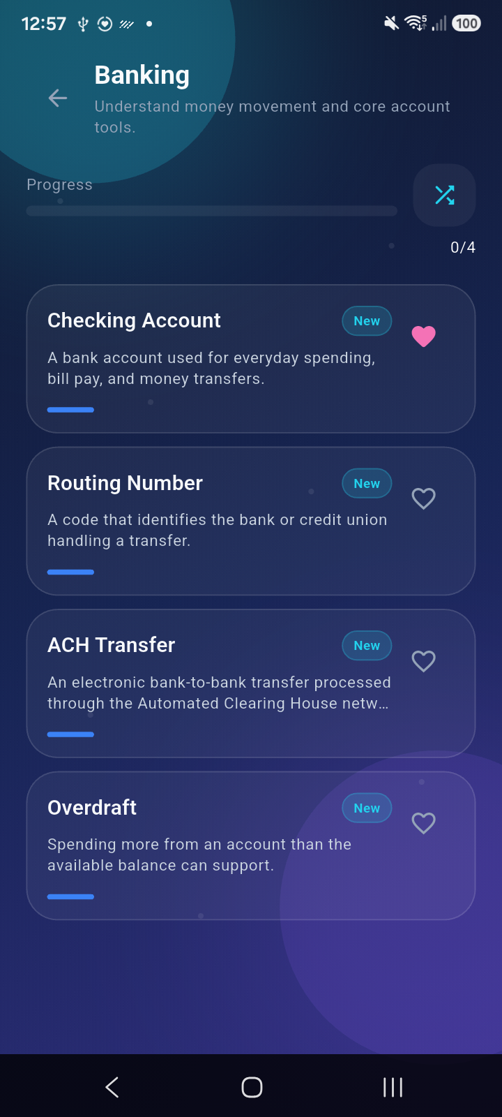 Finance Insight banking screen